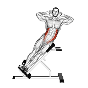45 Side Bend demonstration animation