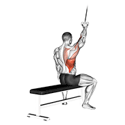 Alternate Lateral Pulldown demonstration animation
