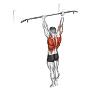 Archer Pullup demonstration animation