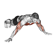 Archer Pushup demonstration animation