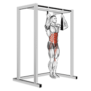 Arm Slingers Hanging Bent Knee Legs demonstration animation