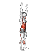 Arms Apart Circular Toe Touch demonstration animation