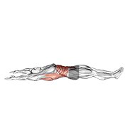 Arms Overhead Full Sit Up demonstration animation
