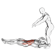 Assisted Lying Leg Raise With Throw Down demonstration animation