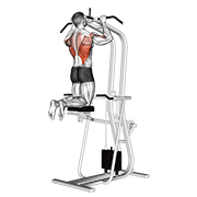 Assisted Pullup demonstration animation