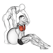 Assisted Seated Pectoralis Major Stretch With Stability Ball demonstration animation