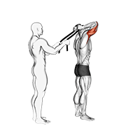Assisted Standing Triceps Extension With Towel demonstration animation