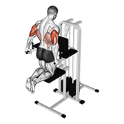 Assisted Triceps Dip Kneeling demonstration animation