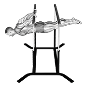Back Lever demonstration animation