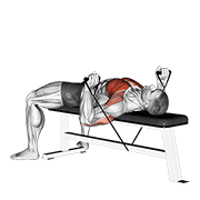Band Bench Press demonstration animation
