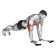 Band Close Grip Push Up demonstration animation