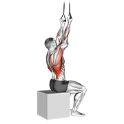 Band Fixed Back Underhand Pulldown demonstration animation