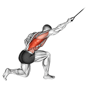 Band Kneeling One Arm Pulldown demonstration animation