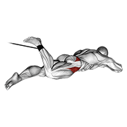 Band Lying Hip Internal Rotation demonstration animation