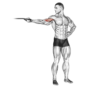 Band One Arm Overhead Biceps Curl demonstration animation