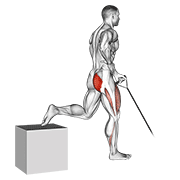 Band One Arm Single Leg Split Squat demonstration animation