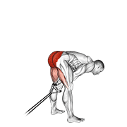 Band Pull Through demonstration animation