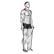 Band Shrug demonstration animation