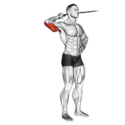 Band Side Triceps Extension demonstration animation