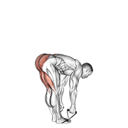 Band Straight Leg Deadlift demonstration animation