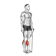 Band Two Legs Calf Raise Band Under Both Legs V2 demonstration animation
