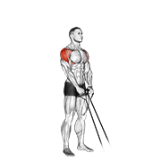 Band Y Raise demonstration animation