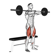 Barbell Bench Front Squat demonstration animation