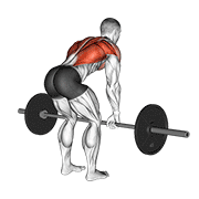 Barbell Bent Over Row demonstration animation