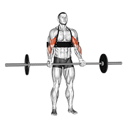 Barbell Biceps Curl With Arm Blaster demonstration animation