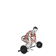 Barbell Clean And Press demonstration animation