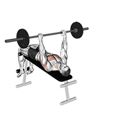 Barbell Decline Wide Grip Pullover demonstration animation