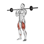 Barbell Front Chest Squat demonstration animation