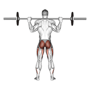 Barbell Full Squat Back Pov demonstration animation
