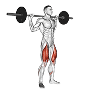 Barbell Full Squat demonstration animation