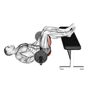 Barbell Glute Bridge Two Legs On Bench demonstration animation