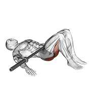 Barbell Glute Bridge demonstration animation