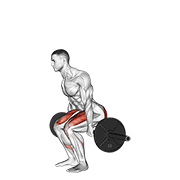 Barbell Hack Squat demonstration animation