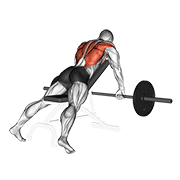 Barbell Incline Row demonstration animation