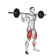 Barbell Jump Squat demonstration animation