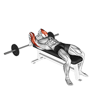 Barbell Lying Back Of The Head Tricep Extension demonstration animation