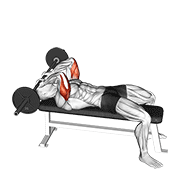 Barbell Lying Triceps Extension Skull Crusher demonstration animation
