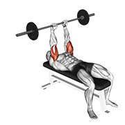 Barbell Lying Triceps Extension demonstration animation