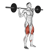 Barbell Narrow Stance Squat demonstration animation