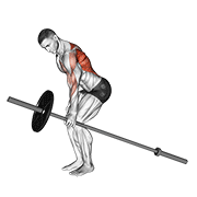 Barbell One Arm Bent Over Row demonstration animation