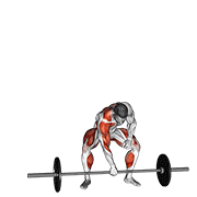 Barbell One Arm Snatch demonstration animation