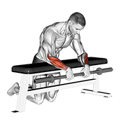 Barbell Palms Down Wrist Curl Over A Bench demonstration animation