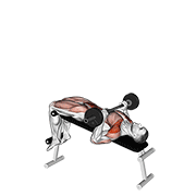 Barbell Press Sit Up demonstration animation