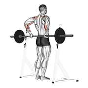 Barbell Rear Delt Raise demonstration animation