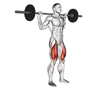 Barbell Rear Lunge demonstration animation