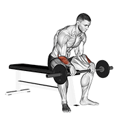 Barbell Revers Wrist Curl V2 demonstration animation